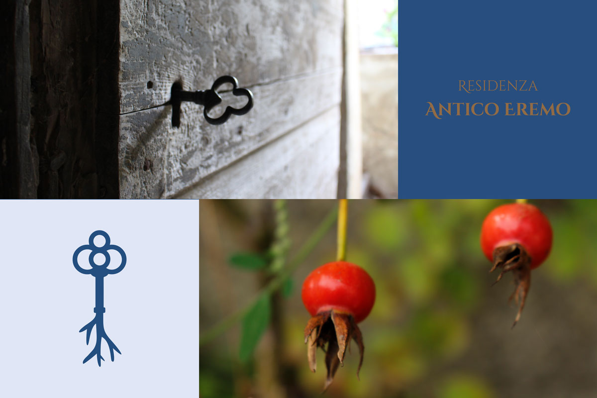 immagine da cui deriva il concept della brand identity